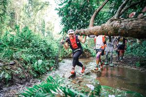 BIB: 
                            <button type="button" onclick="openModal(25515019)" class="btn btn-primary btn-sm float-right btn-popup" data-toggle="modal" data-target=".modal-high-quality">
                        <i class="fas fa-shopping-cart"></i> Add to Cart
                    </button>
                                            <button type="button" onclick="isThisMe(25515019, true)" class="btn btn-success btn-sm float-right btn-popup btn-isme hidden" data-toggle="tooltip" data-placement="bottom" title="นี่คือรูปของคุณใช่ไหม คลิกที่นี่เพื่อเอาเข้าอัลบั้ม">
                        <i class="fas fa-plus"></i> Add to album
                    </button>
                    <button type="button" onclick="isThisMe(25515019, false)" class="btn btn-warning btn-sm float-right btn-popup btn-isnotme hidden">
                        <i class="fas fa-ban"></i> Remove from album
                    </button>